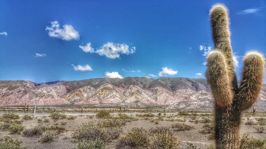 From Salta: Day Trip to Cachi and the Calchaquí Valleys - Leaving Salta via the Lerma Valley and Quebrada de los Laureles
