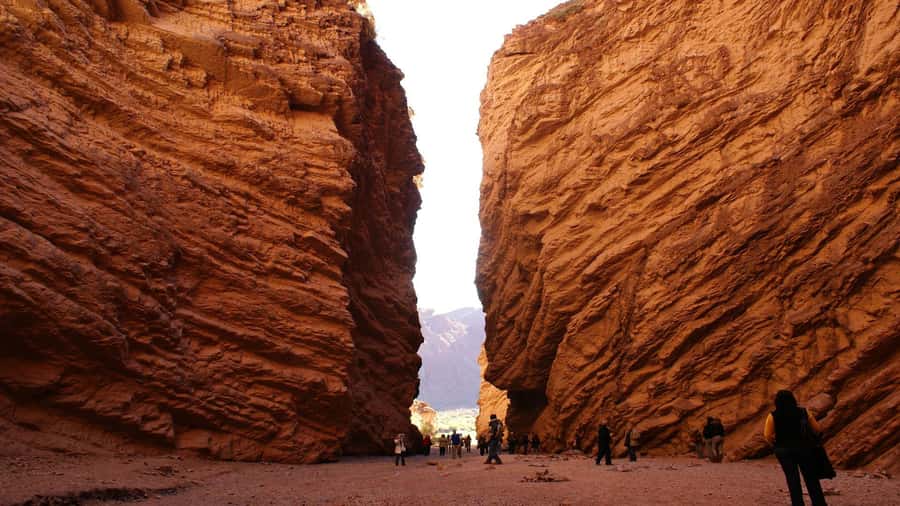 From Salta: Day Trip to Cafayate - Key Highlights You Should Care About