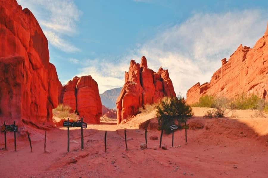 From Salta: Day Trip to Cafayate - Winery Visit in Cafayate: Torrontés Tasting Is the Main Event