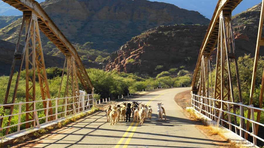 From Salta: Day Trip to Cafayate - Same Route, Different Light: Why the Return Feels Like a Second Tour