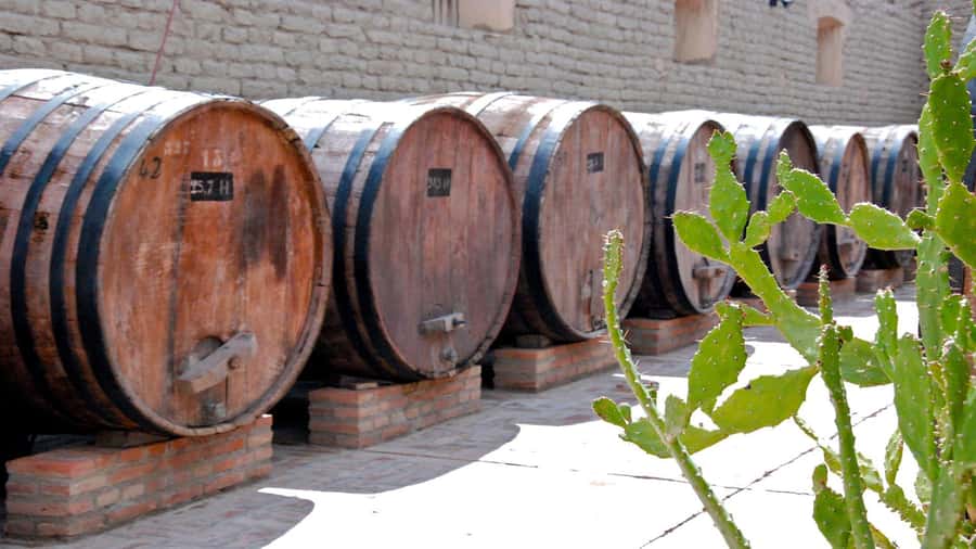 From Salta: Day Trip to Cafayate - Price and Value: What $41 Covers and Why It Feels Fair