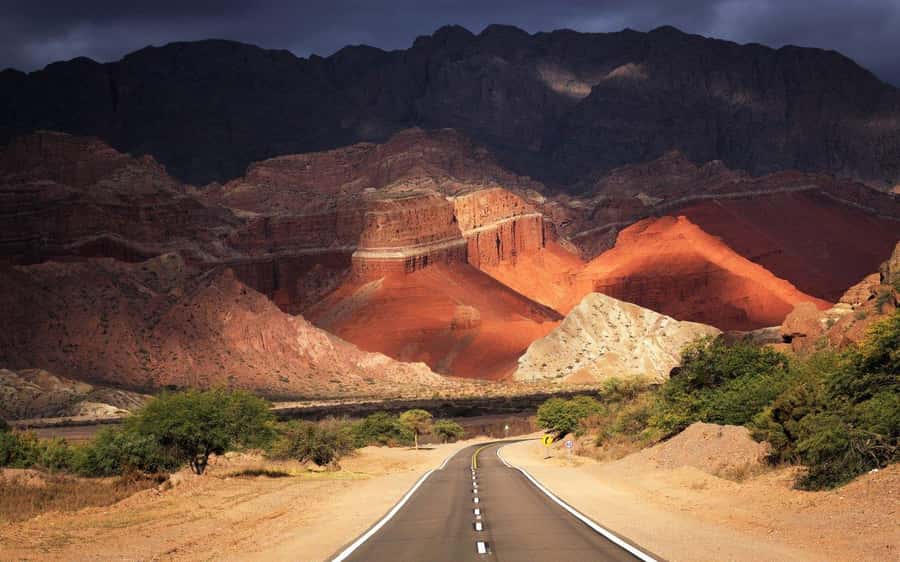 From Salta: Full-day excursions through Cafayate and Cachi - Cafayate wine route: winery visit, tasting, and a reality check on language