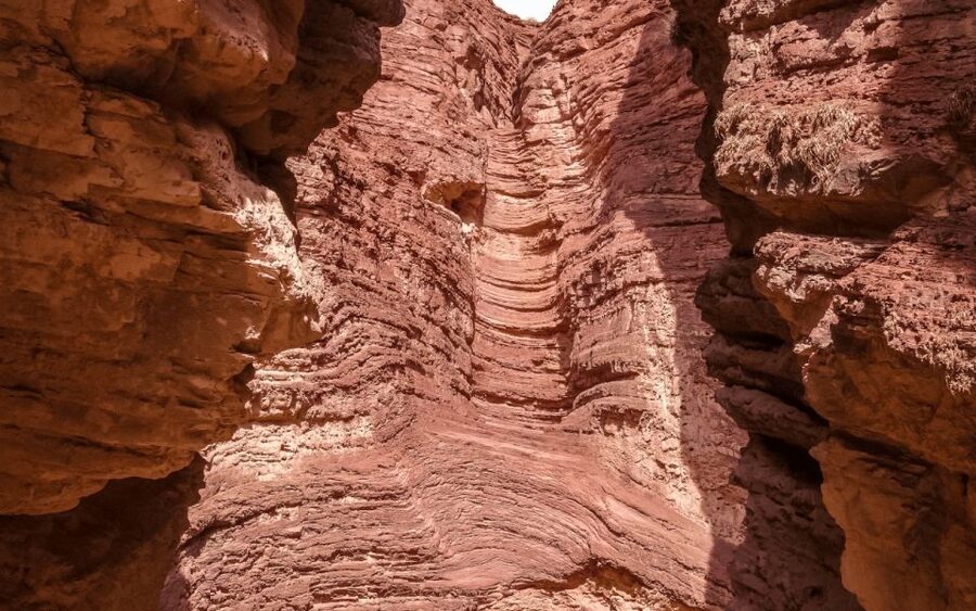 From Salta: Full-day excursions through Cafayate and Cachi - Guide quality and English expectations, Caro and Milagros in the mix