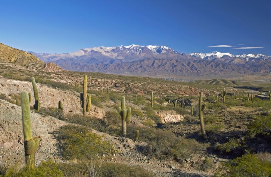 From Salta: Full-Day Scenic Tour to Cachi - Bus comfort on mountain roads: bring strategy, not expectations