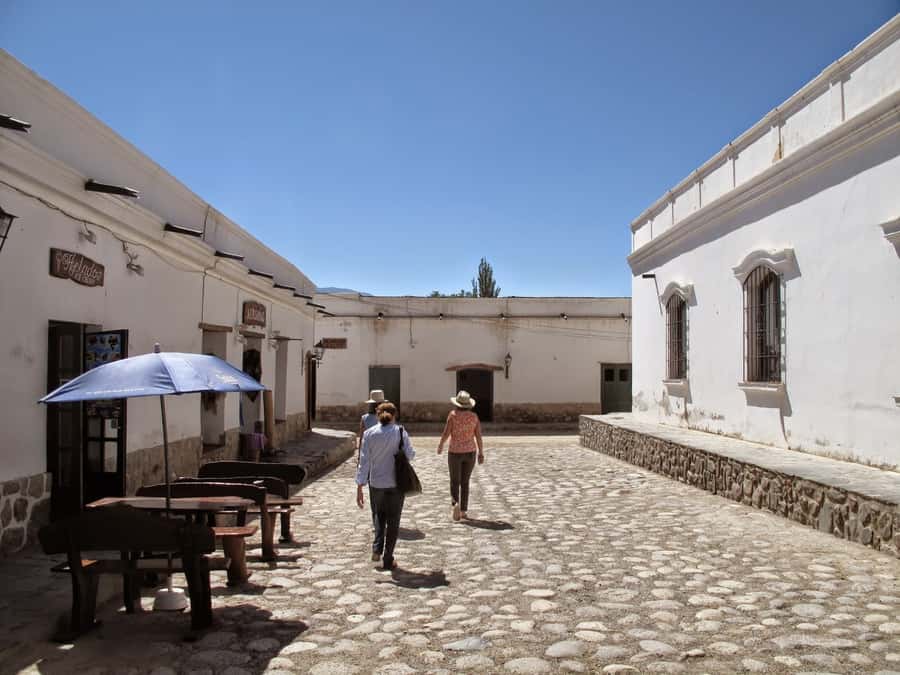 From Salta: Full-Day Scenic Tour to Cachi - Los Cardones National Park: cactus country that changes your eyes