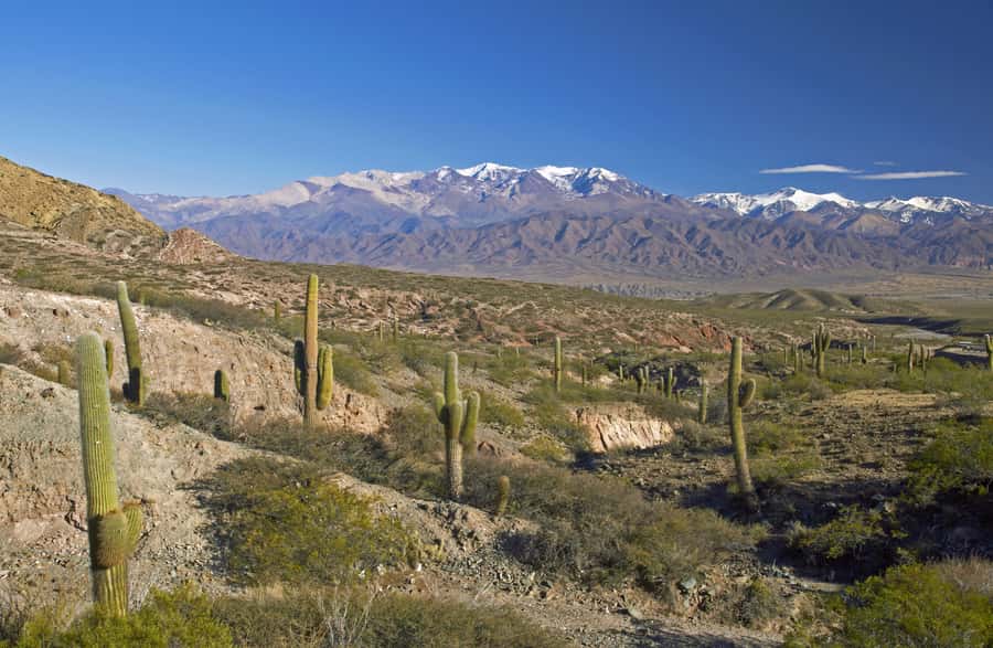 From Salta: Full-Day Scenic Tour to Cachi - Salta to the gorges: where the day first turns dramatic