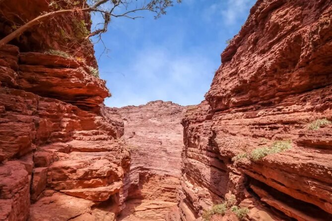 From Salta: Full-Day Tour to Cafayate, Land of Wines - Quebrada del Río de las Conchas: Devil’s Throat and the long photo circuit