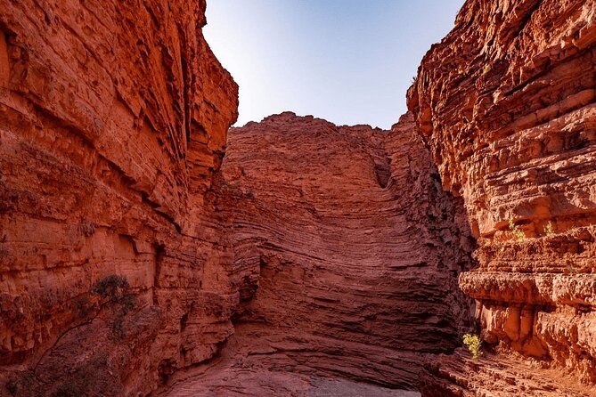 From Salta: Full-Day Tour to Cafayate, Land of Wines - Value and expectations: wine focus, language support, and heat management