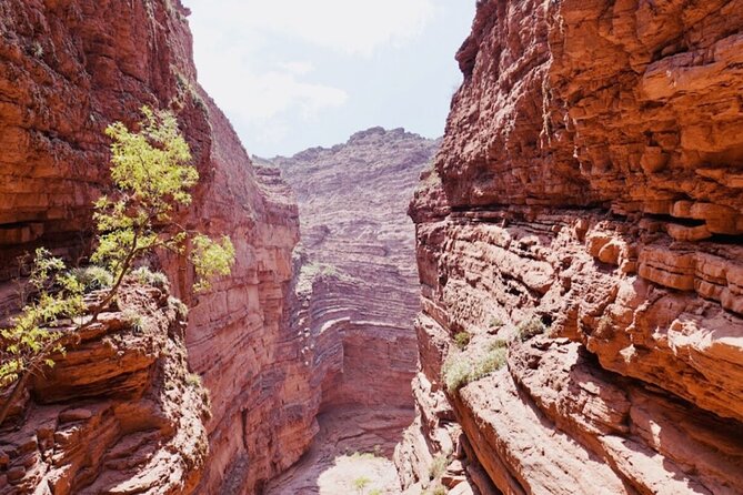 From Salta: Full-Day Tour to Cafayate, Land of Wines - Should you book this Cafayate day trip from Salta?