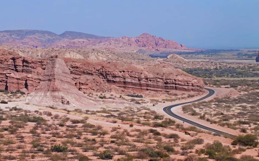 From Salta: Full-Day Tour to Cafayate with Wine Tasting - Who should book this Salta to Cafayate day trip