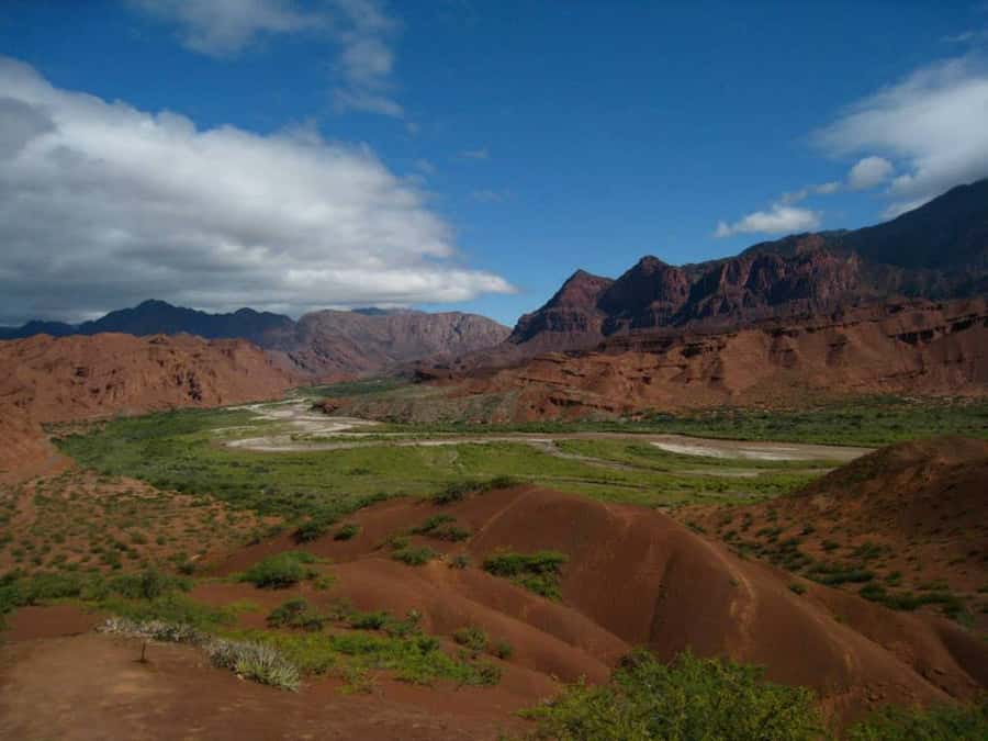 From Salta: Full-Day Tour to Cafayate with Wine Tasting - Germany, Devil’s Throat, and the House of the Parrots
