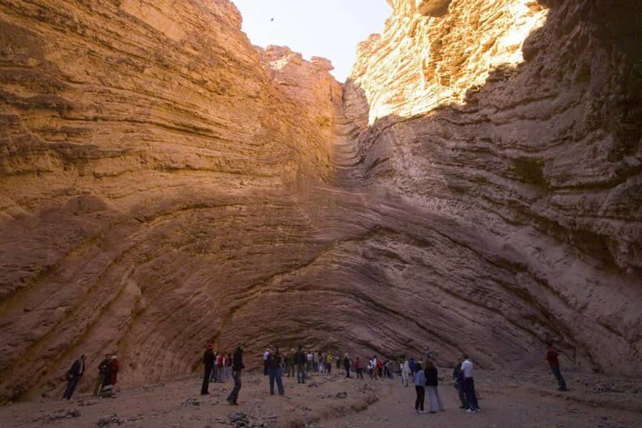 From Salta: Full-Day Tour to Cafayate with Wine Tasting - The winery stop: what to expect from wine tasting