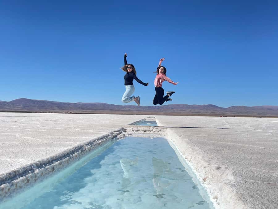 From Salta: Great Salt Flats Day Tour - Route 40 to Salinas Grandes, the white change that feels unreal