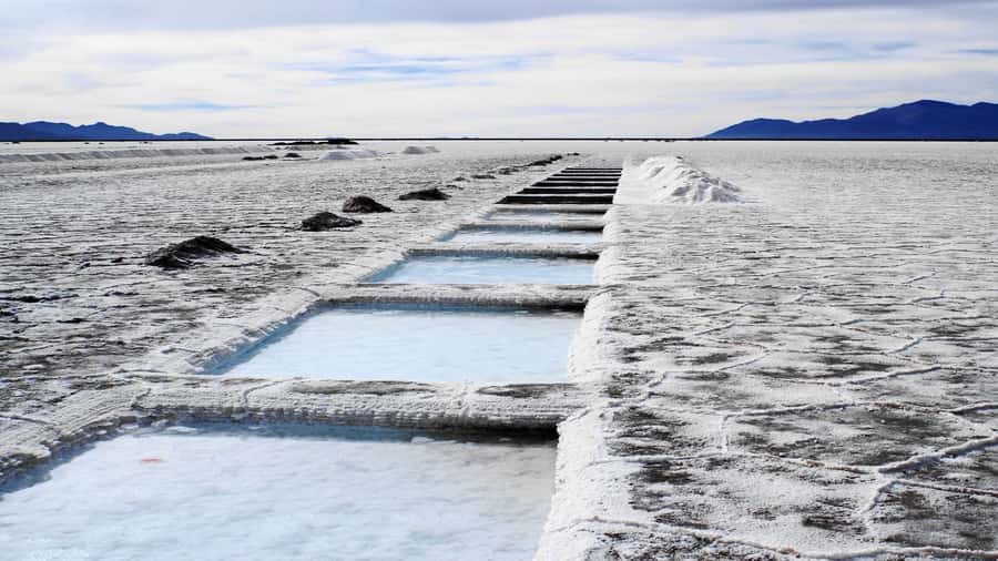 From Salta: Great Salt Flats Day Tour - Timing, buses, and the pace question