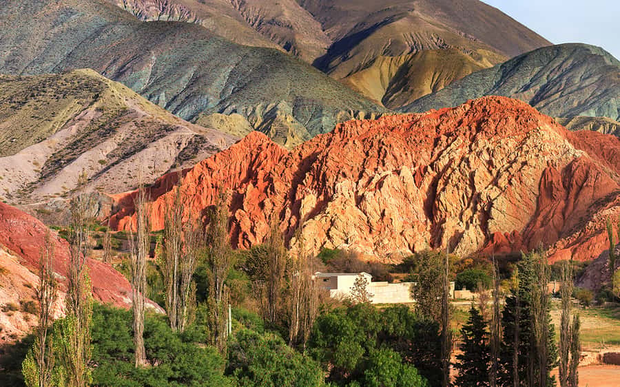 From Salta: Salinas Grandes, Purmamarca and Cuesta de Lipán - Purmamarca and the Hill of Seven Colors: photos, walking, and shopping time