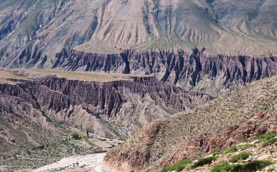 From Salta: Salinas Grandes, Purmamarca and Cuesta de Lipán - Price and value: what $42 really buys you