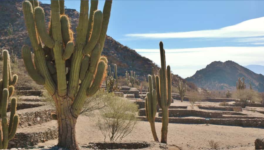 From Tucumán: Tafí del Valle, Quilmes Ruins and Cafayate - Tafí del Valle: markets, countryside views, and that cheese you might try