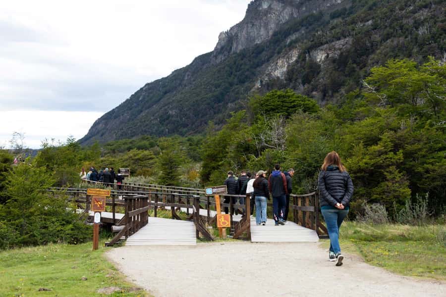 From Ushuaia: Discover Tierra del Fuego National Park - Who this tour is best for