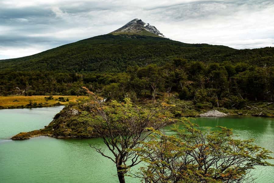 From Ushuaia: Discover Tierra del Fuego National Park - Alakush Visitor Center and Laguna Verde for forest, water, and calmer breaks