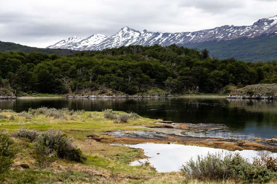 From Ushuaia: Discover Tierra del Fuego National Park - The 5-hour rhythm: what fits, what doesn’t, and how to plan your time