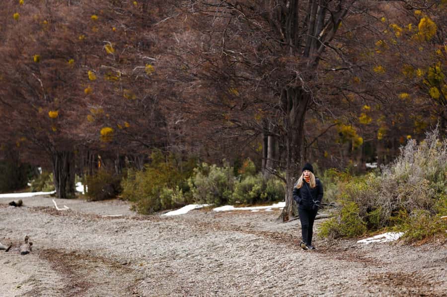 From Ushuaia: Discover Tierra del Fuego National Park - Pickup quirks in Ushuaia, and why they matter