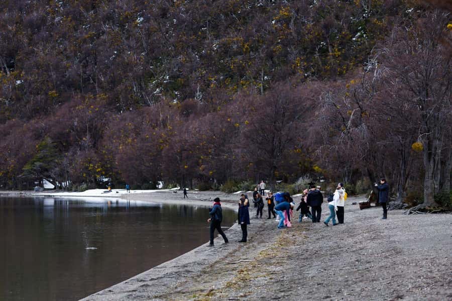 From Ushuaia: Discover Tierra del Fuego National Park - Lapataia Bay and the Pan-American Highway ending point