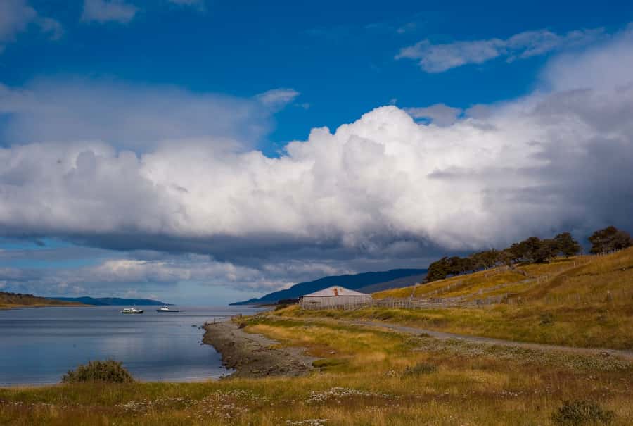From Ushuaia: Penguin Watching Tour by Catamaran - Les Eclaireurs Lighthouse and the SS Monte Cervantes Wreck