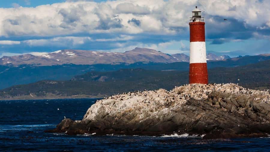 From Ushuaia: Penguin Watching Tour by Catamaran - Price and Value: Is $177 Worth It?