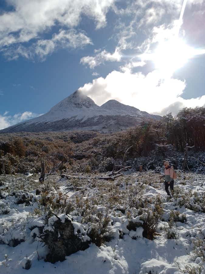 From Ushuaia: Tierra del Fuego Emerald Lagoon Trekking Tour - Key things I’d circle before you go
