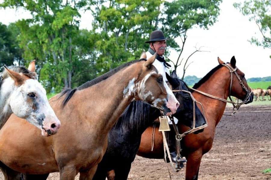 Full-Day at Santa Susana Ranch with BBQ, Drinks and Show - Price and Value: Is $595 Per Person Worth It?