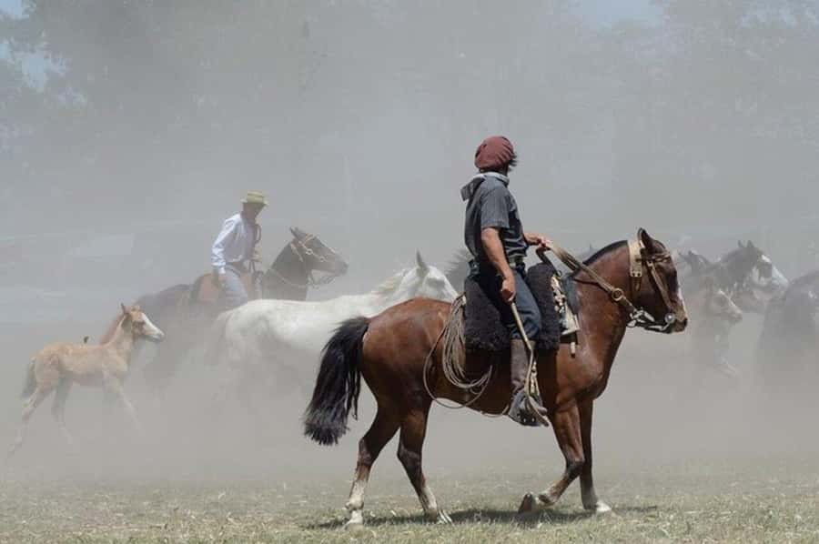 Full-Day at Santa Susana Ranch with BBQ, Drinks and Show - Who This Ranch and Tango Day Fits Best