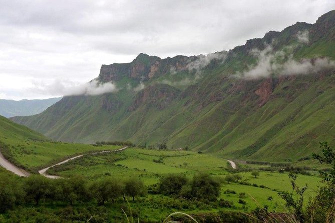Full-day Cachi and Los Cardones National Park from Salta - Los Cardones National Park: Your 30 to 45 Minutes of Real Walking