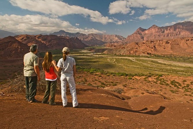 Full-day Cafayate, Lerma Valley, and Wine Tasting from Salta - Why this Salta to Cafayate day trip works