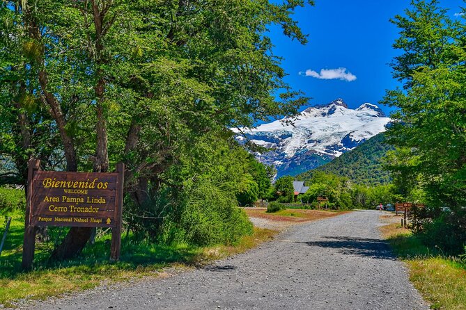 Full Day Cerro Tronador: Eternal Snow and Hanging Glaciers - Vuriloches Valley and the shaded forest walk