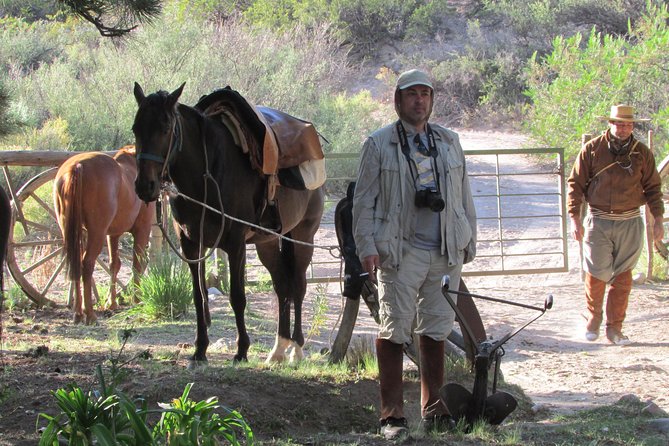 Full day ride at the foot of The Andes - From Mendoza at 8am: the drive that sets the mood
