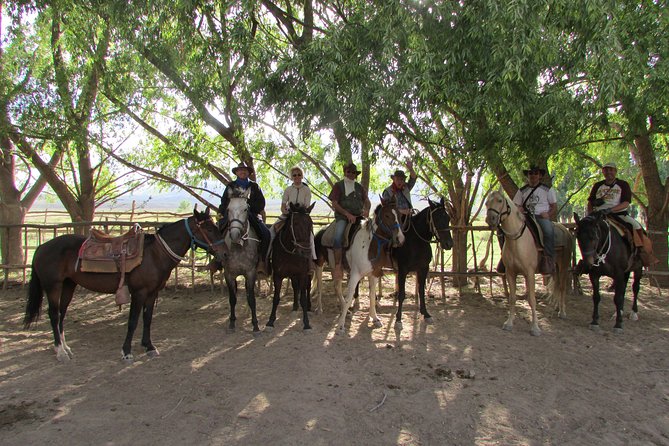 Full day ride at the foot of The Andes - Horseback riding in the Andes foothills, plus the Andean Mountains stop