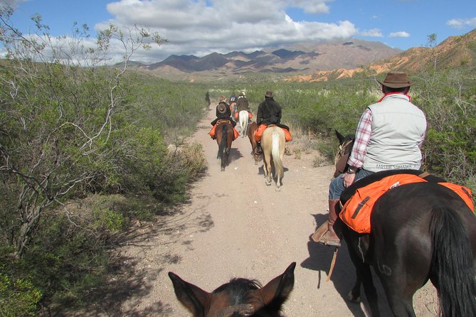 Full day ride at the foot of The Andes - Price and value: what you get for about $208