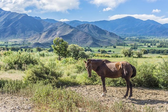 Full-Day Tour Cafayate Calchaqui Valleys with Wine - Key things to know before you go