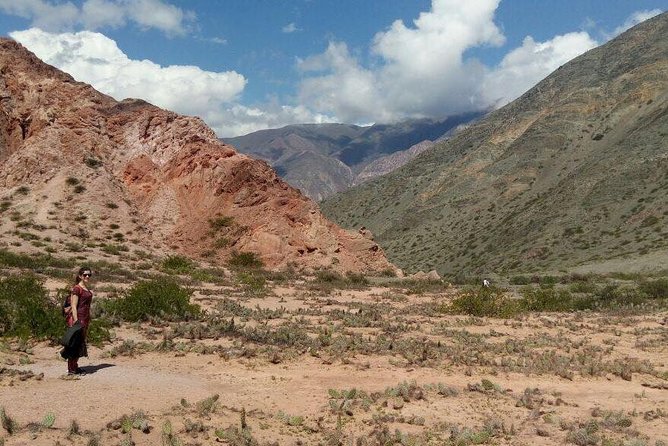Full-Day Tour Salinas Grandes and Purmamarca from Salta - Guide language and group size: how to protect your expectations