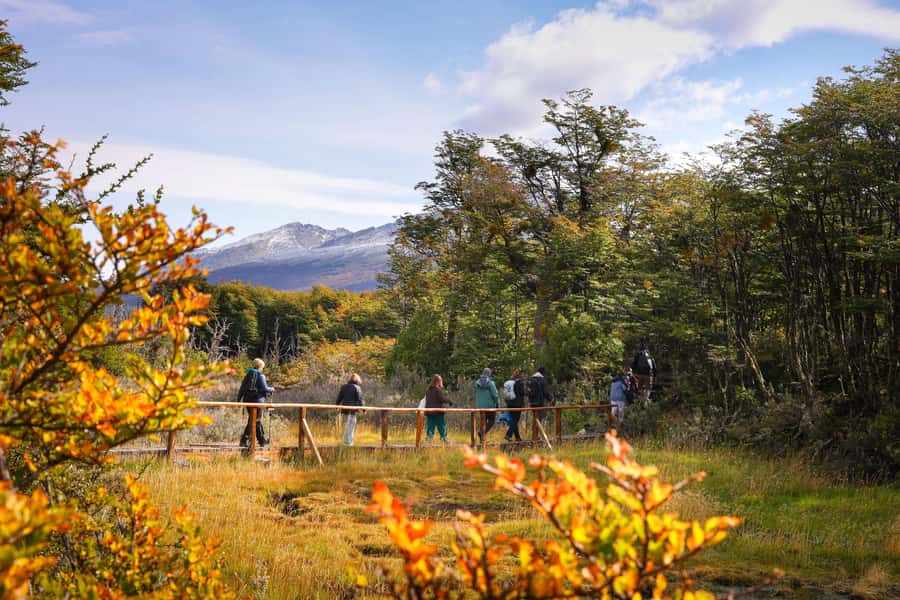Full Day Trip to Tierra del Fuego National Park - Key things you will enjoy most