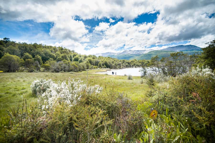 Full Day Trip to Tierra del Fuego National Park - Why this Tierra del Fuego day feels worth your time