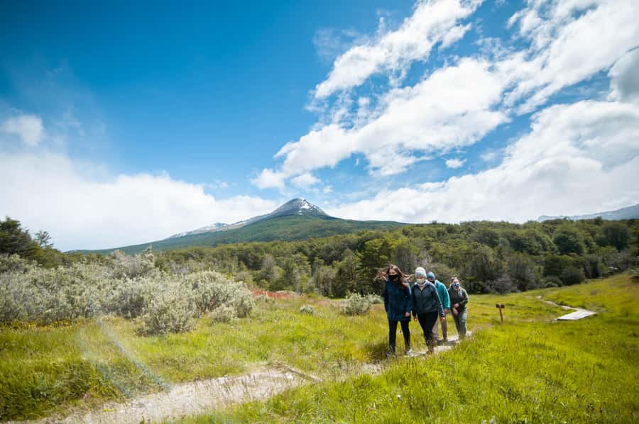 Full Day Trip to Tierra del Fuego National Park - Pampa Alta and Ensenada trails: the walking that makes the park real