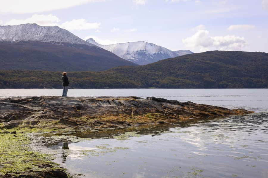 Full Day Trip to Tierra del Fuego National Park - Sendero de la Isla and La Lenga path: the forest trail with a purpose