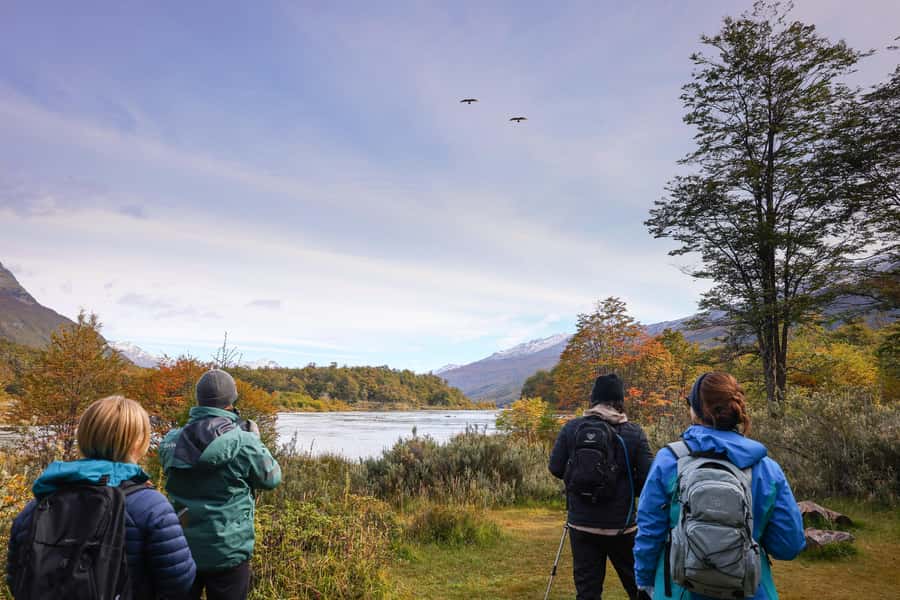 Full Day Trip to Tierra del Fuego National Park - Price and value: what $150 really buys you