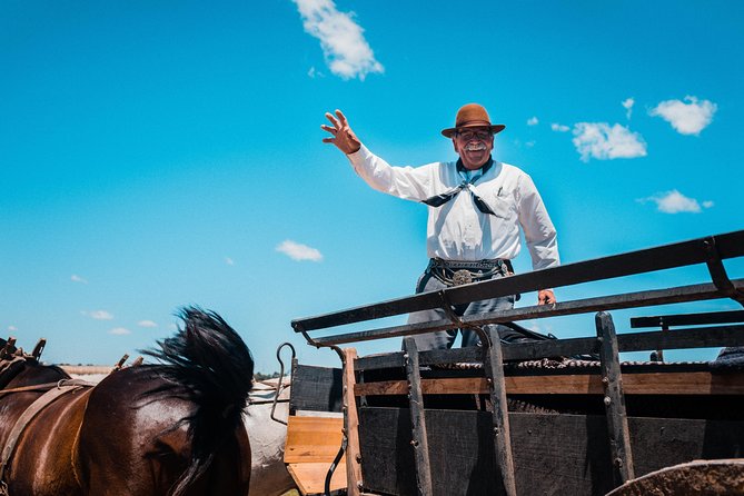 Gaucho Day Trip from Buenos Aires: Santa Susana Ranch - Carriage Ride or Horse Time: Fun for Beginners, Not a Full Day of Riding