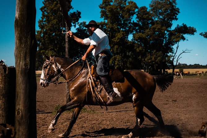 Gaucho Day Trip from Buenos Aires: Santa Susana Ranch - Arrival at Estancia Santa Susana: Empanadas, Wine, and Ranch House Atmosphere