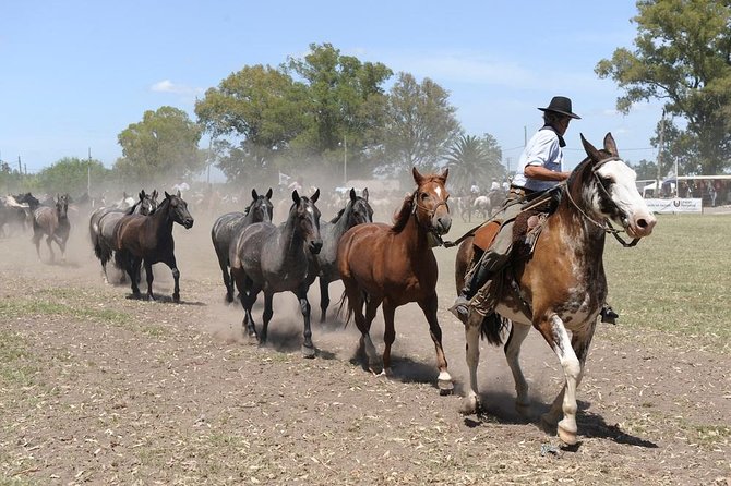 Gaucho Experience: A Day Trip to Don Silvano Ranch - A Ranch Day Outside Buenos Aires, Without the Meeting-Point Headache