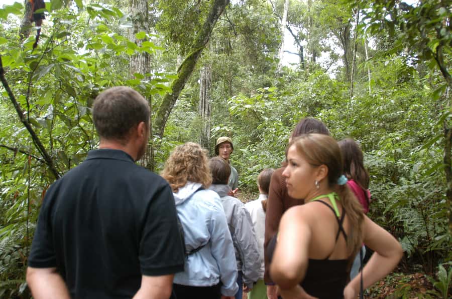 Half-Day Iguazú Forest Adventure - Your 4-Hour Flow: From Pickup to Harness Time