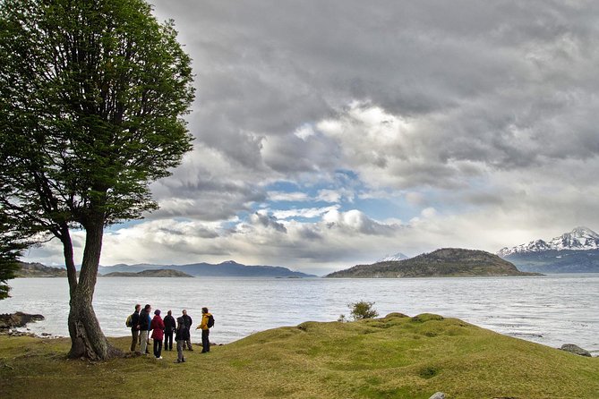 Half-Day Tierra del Fuego National Park with Lunch and Drinks - Pickup, Timing, and How the Morning Usually Starts