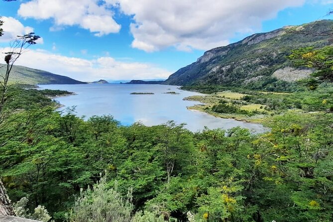 Half-Day Tierra del Fuego National Park with Train - Bahia Lapataia, the Pan-American Route Marker, and Why the Quick Stop Works
